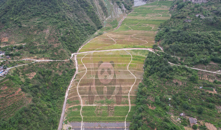 石棉县板厂沟矿山修复后的景象