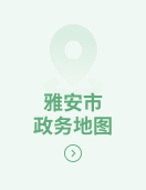 雅安市政务地图