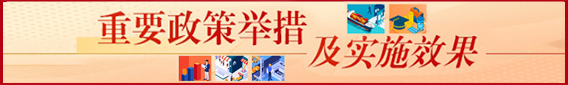 重要政策举措及实施效果